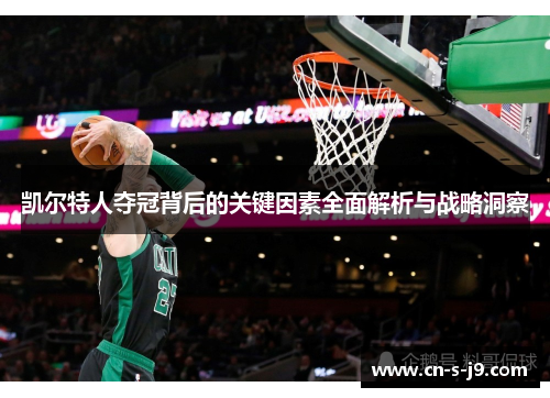 凯尔特人夺冠背后的关键因素全面解析与战略洞察 凯尔特人夺冠背后的关键因素全面解析与战略洞察