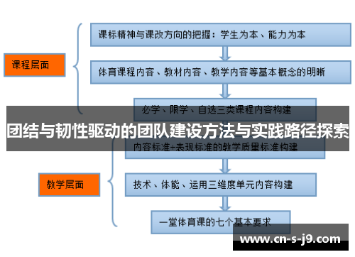 团结与韧性驱动的团队建设方法与实践路径探索