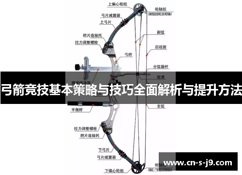 弓箭竞技基本策略与技巧全面解析与提升方法