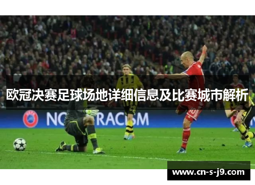 欧冠决赛足球场地详细信息及比赛城市解析