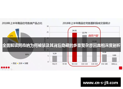 全面解读阿森纳为何被禁及其背后隐藏的多重复杂原因真相深度剖析 全面解读阿森纳为何被禁及其背后隐藏的多重复杂原因真相深度剖析