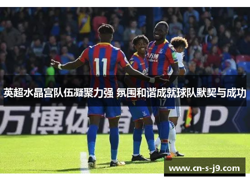 英超水晶宫队伍凝聚力强 氛围和谐成就球队默契与成功 英超水晶宫队伍凝聚力强 氛围和谐成就球队默契与成功