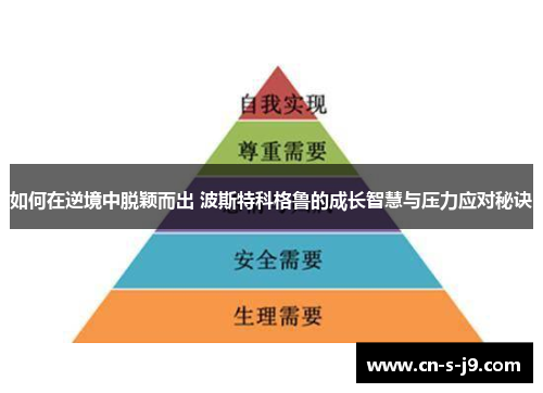 如何在逆境中脱颖而出 波斯特科格鲁的成长智慧与压力应对秘诀 如何在逆境中脱颖而出 波斯特科格鲁的成长智慧与压力应对秘诀
